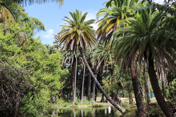 A pleasant walk through the Rod&oacute; Park of Montevideo in Uruguay.