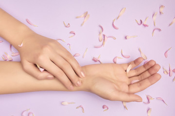 Fototapeta na wymiar Pink petals of a flower in gentle womans hands on a violet background. Concept of advertisment of beauty salon. Gift certificate to Mothers Day.