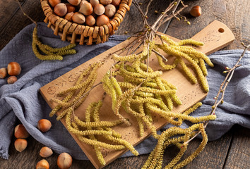 Hazel catkins with hazelnuts in the background