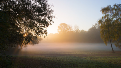 morning mist