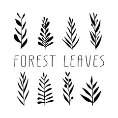 Cute hand drawn forest leaves and branch set. Traditional leaves in ink, doodle style for wedding decoration and arrangements.
