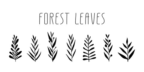 Cute hand drawn forest leaves and branch set. Traditional leaves in ink, doodle style for wedding decoration and arrangements.