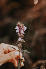 flower in hand