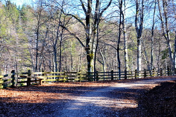 Road to the winter and touristic station Poiana Brasov, 12 km from Brasov, a town situated in Transylvania, Romania, in the center of the country