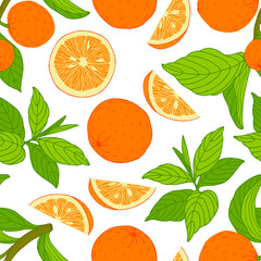 Branch of oranges and green leaves fruit on white background. Hand drawn seamless pattern. Stock vector illustration.