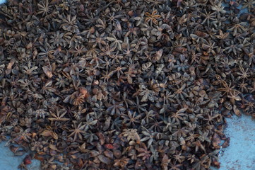 tea leaves on black background
