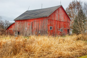 0870 - Harrington Road Red I (0870-BAR-112919-1256P)