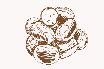 Graphical vintage  hand-drawn sausages , sepia background, vector illustration