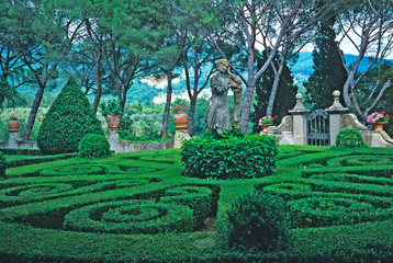 A classical Italian garden in Tuscany with complicated Topiary