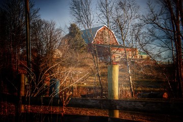 0891 - Marathon Road's HIllside Red II (0891-BAR-122319-1028A)