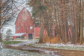 0913 - Tubspring Road's Hidden Winter Red (0913-BAR-120319-0149P)