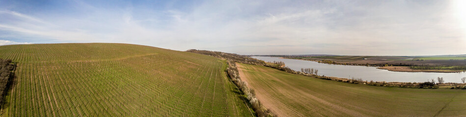 Weinberg am S&uuml;&szlig;en See im Seegebiet Mansfelder Land