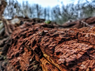 sunset over the lake relax on the nature
