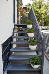 Potted plants in stairs