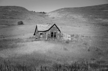 Black and white pioneer homestead