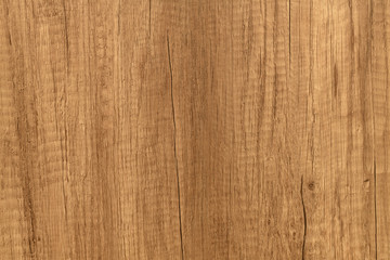 Naklejka premium Texture of wood background closeup