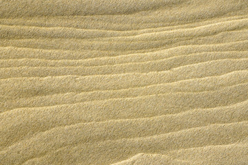 Fototapeta na wymiar wind and water created sand texture on the seashore