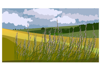 Vector illustration of beautiful summer fields landscape with a green hills and blue sky. Country background in flat style for design banner, ticket, leaflet, card, poster and so on