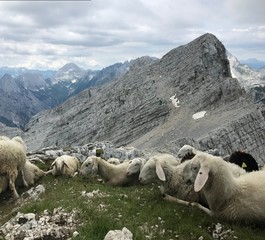 Julian Alps landscape