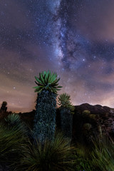 La v&iacute;a l&aacute;ctea con monta&ntilde;as, nevados, &aacute;rboles y m&aacute;s