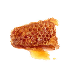 Honey comb watercolor isolated on white background