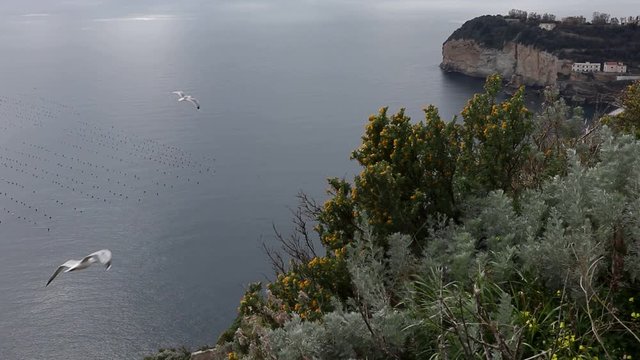 Napoli - Panoramica di Nisida dal Parco Virgiliano
