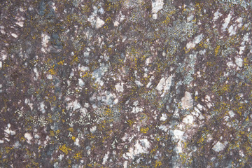 Uneven surface of an old light granite block covered with lichen and moss