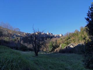 Nymphaeum ruins in Genazzano