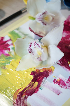 White orchids on paper with oil colors