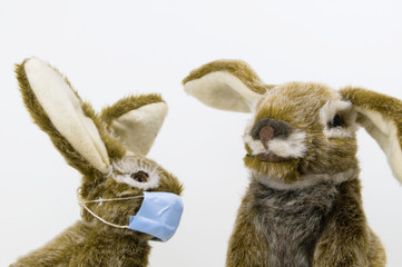 Easter bunny with a surgical face mask next to  a bigger rabbit with out one representing a Easter...