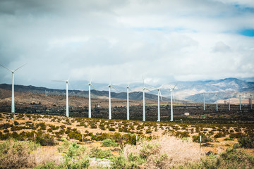 Palm Springs Windmills