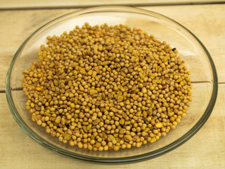 Mustard seed seasoning in glass plate on wooden background