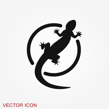 Vector Lizard icon on white background, Vector gecko