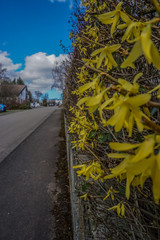 Landschaft