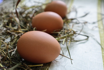Chicken eggs on the wall close up