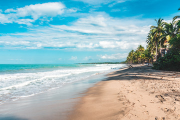 beautiful beach with palmtrees