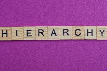word hierarchy from wooden letters lies red backgound 