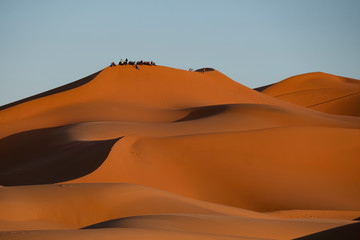 Fototapeta na wymiar Tourists on Sand Dune, Sahara Desert