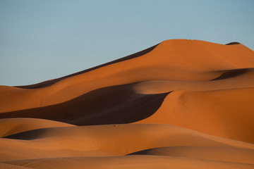 Fototapeta na wymiar Sand Dunes at Sunset, Sahara Desert