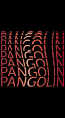 Vector lettering pangolin for printing on hoodies. Bright design with the name of the animal for printing on things.