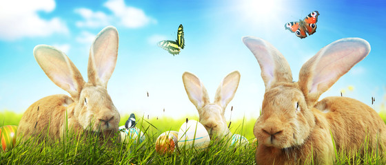 Ostern Kollage mit Osterhase