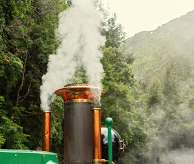 Fototapeta na wymiar Steam Engine Of Tasmania Tourist Train