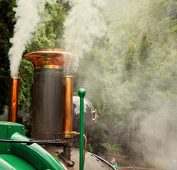 Fototapeta na wymiar Steam Engine Of Tasmania Tourist Train