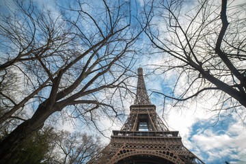 Fototapeta na wymiar Eiffel Tower in the center of Paris.