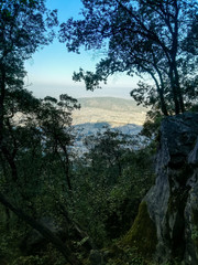 Fototapeta na wymiar vista de la ciudad desde la montaña y rodeado de arboles.