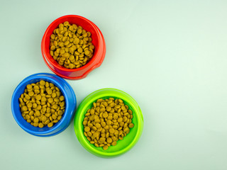 food in multi-colored bowls for animals. Food for cats and dogs. Pet care concept. Copy space