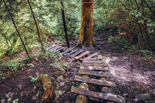 Wooden steps, part of Hornad Gorge tourist trail in Slovak Paradise park located in Ore Mountains, Slovakia