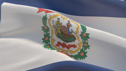 Flags of the states of USA. State of West Virginia flag. 3D illustration.