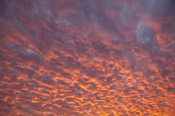 Sunrise Puffy Orange and Blue Overlay Clouds
