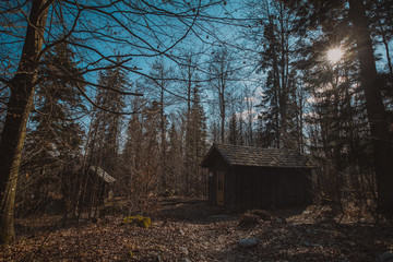Old army barracks or cottages hiding in the depths of forest at Kocevje or Kocevski rog. Partisan...
